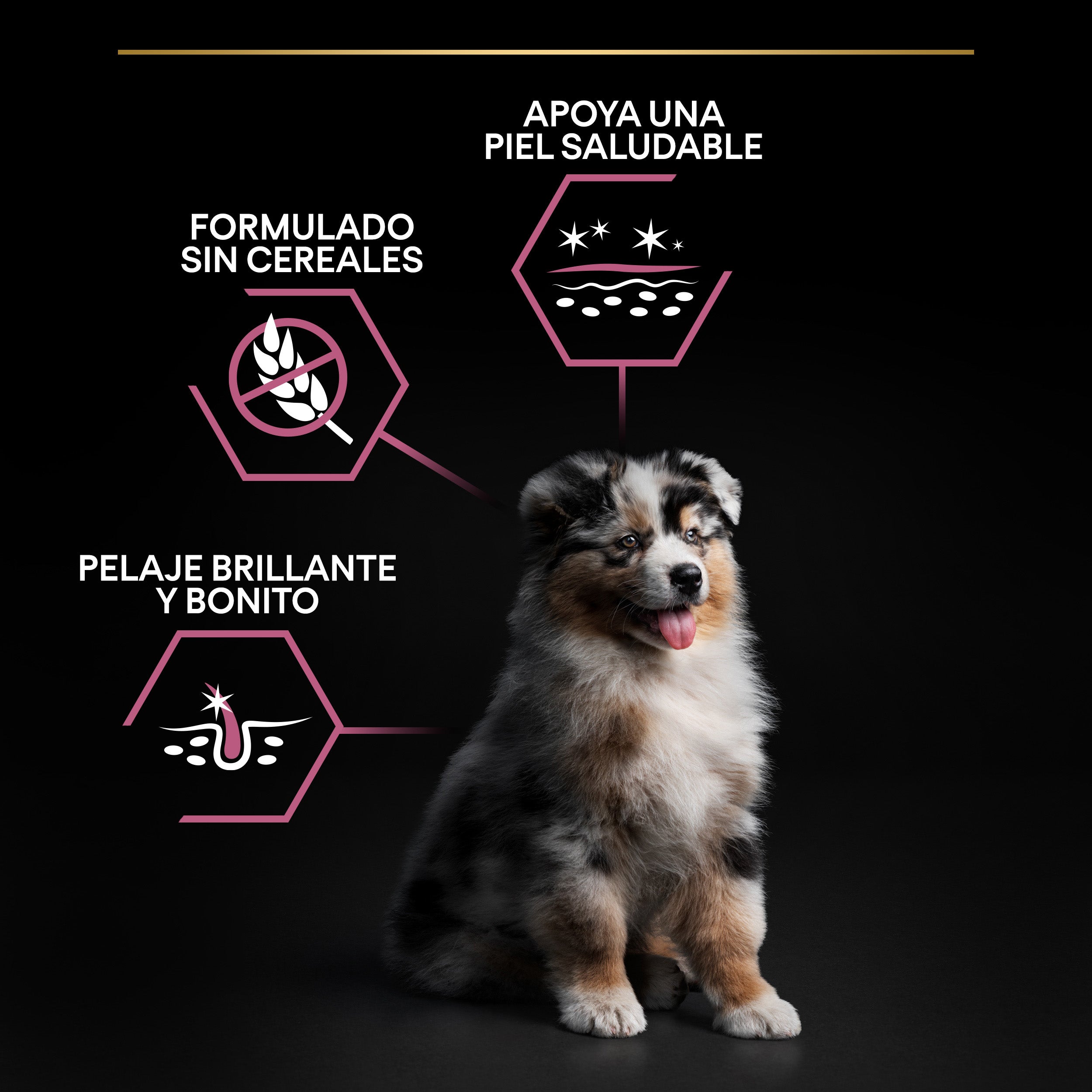 Pro Plan Dog Medium Puppy Sensitive Skin Salmón Pienso para Perros al mejor precio -Todoanimal.es