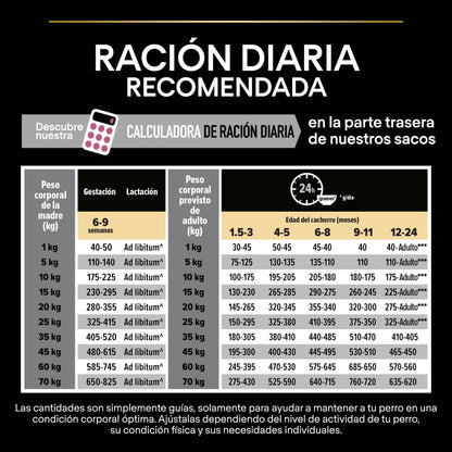 Pro Plan Dog Medium Puppy Sensitive Skin Salmón Pienso para Perros al mejor precio -Todoanimal.es