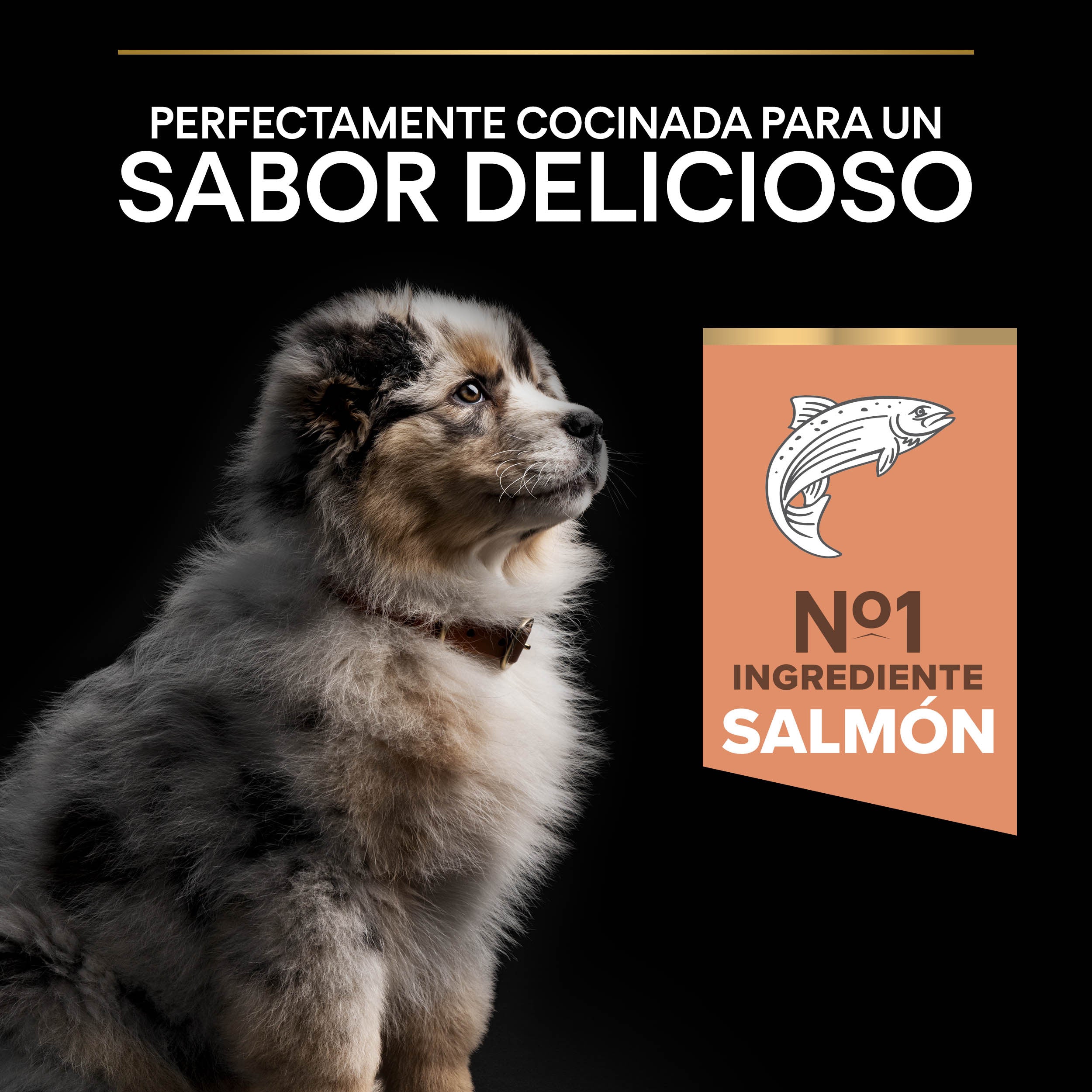 Pro Plan Dog Medium Puppy Sensitive Skin Salmón Pienso para Perros al mejor precio -Todoanimal.es