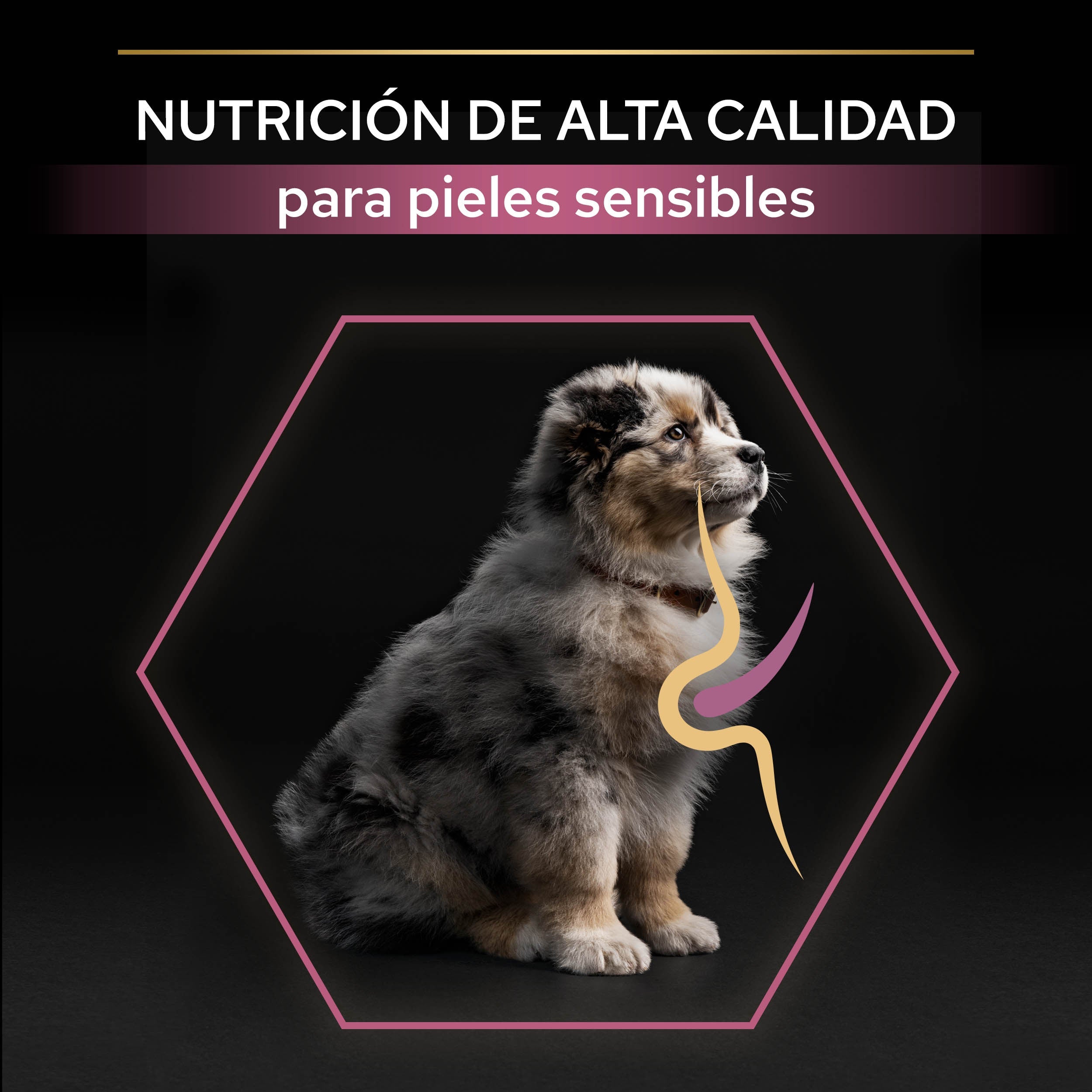 Pro Plan Dog Medium Puppy Sensitive Skin Salmón Pienso para Perros al mejor precio -Todoanimal.es