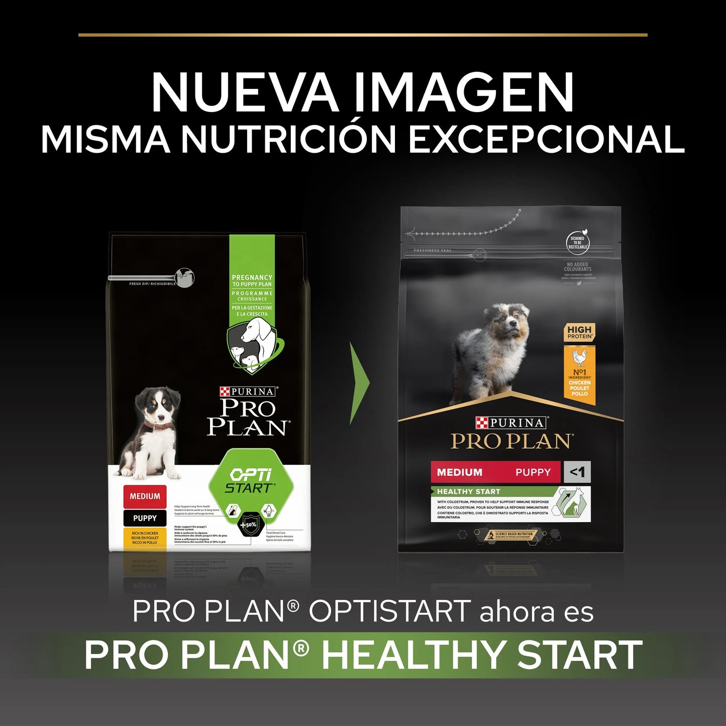 Pro Plan Dog Medium Puppy Start Pollo 3 kg al mejor precio -Todoanimal.es