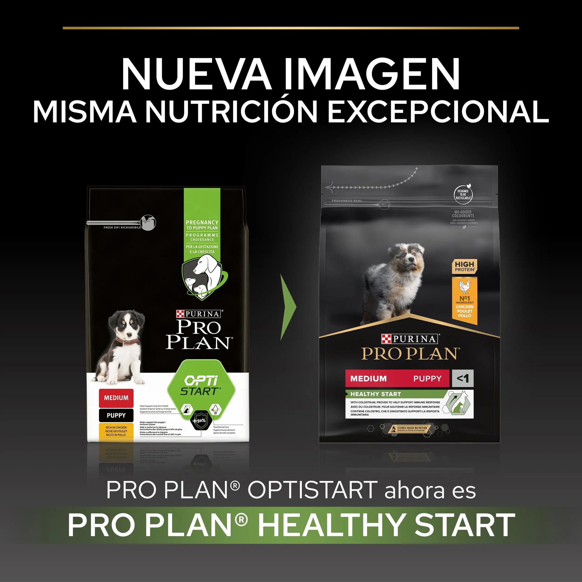 Pro Plan Dog Medium Puppy Start Pollo 3 kg al mejor precio -Todoanimal.es