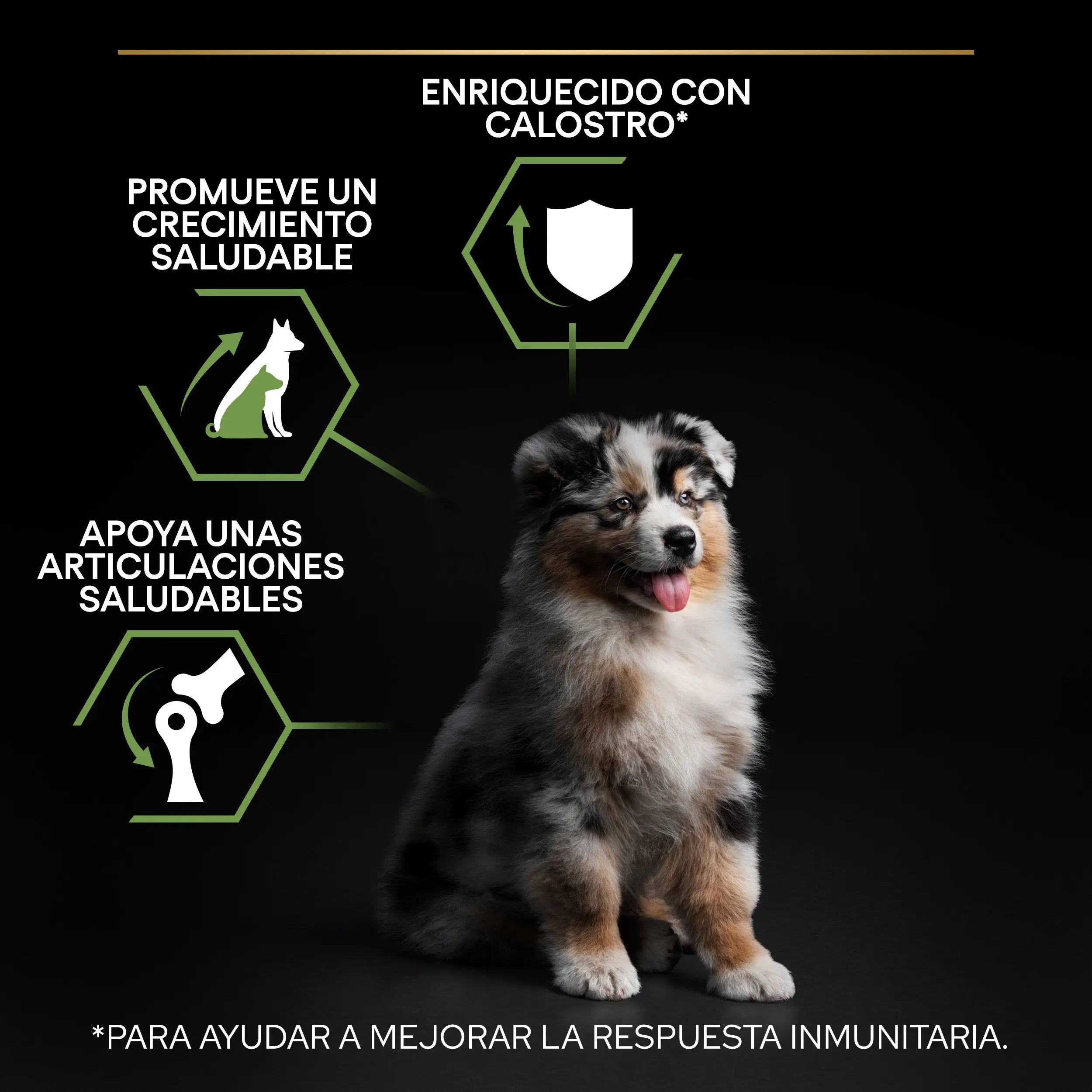 Pro Plan Dog Medium Puppy Start Pollo 3 kg al mejor precio -Todoanimal.es