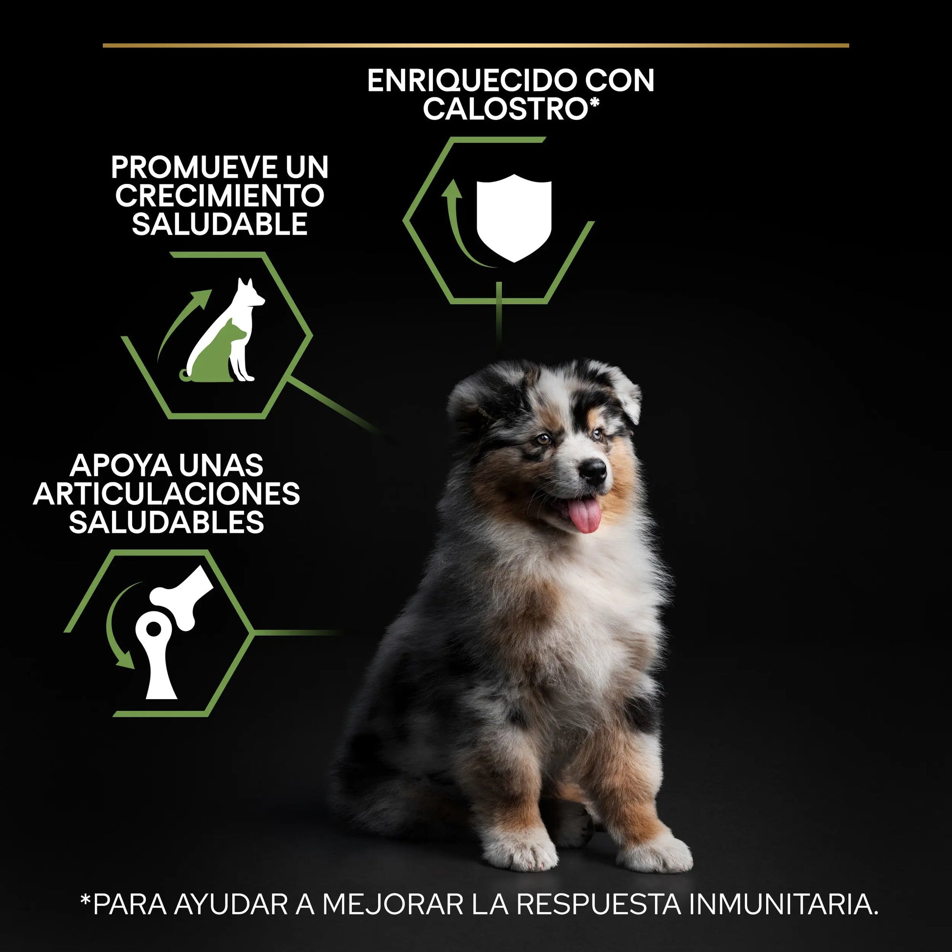 Pro Plan Dog Medium Puppy Start Pollo 3 kg al mejor precio -Todoanimal.es