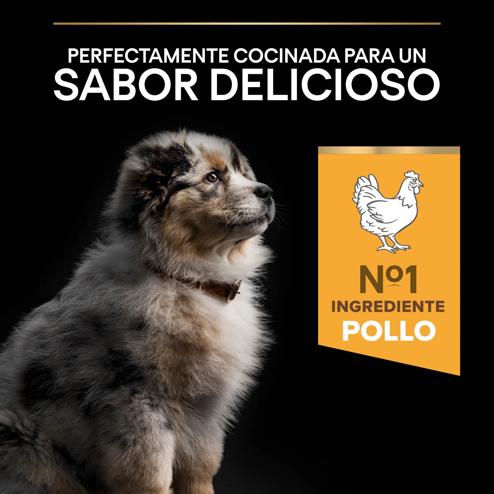 Pro Plan Dog Medium Puppy Start Pollo 3 kg al mejor precio -Todoanimal.es