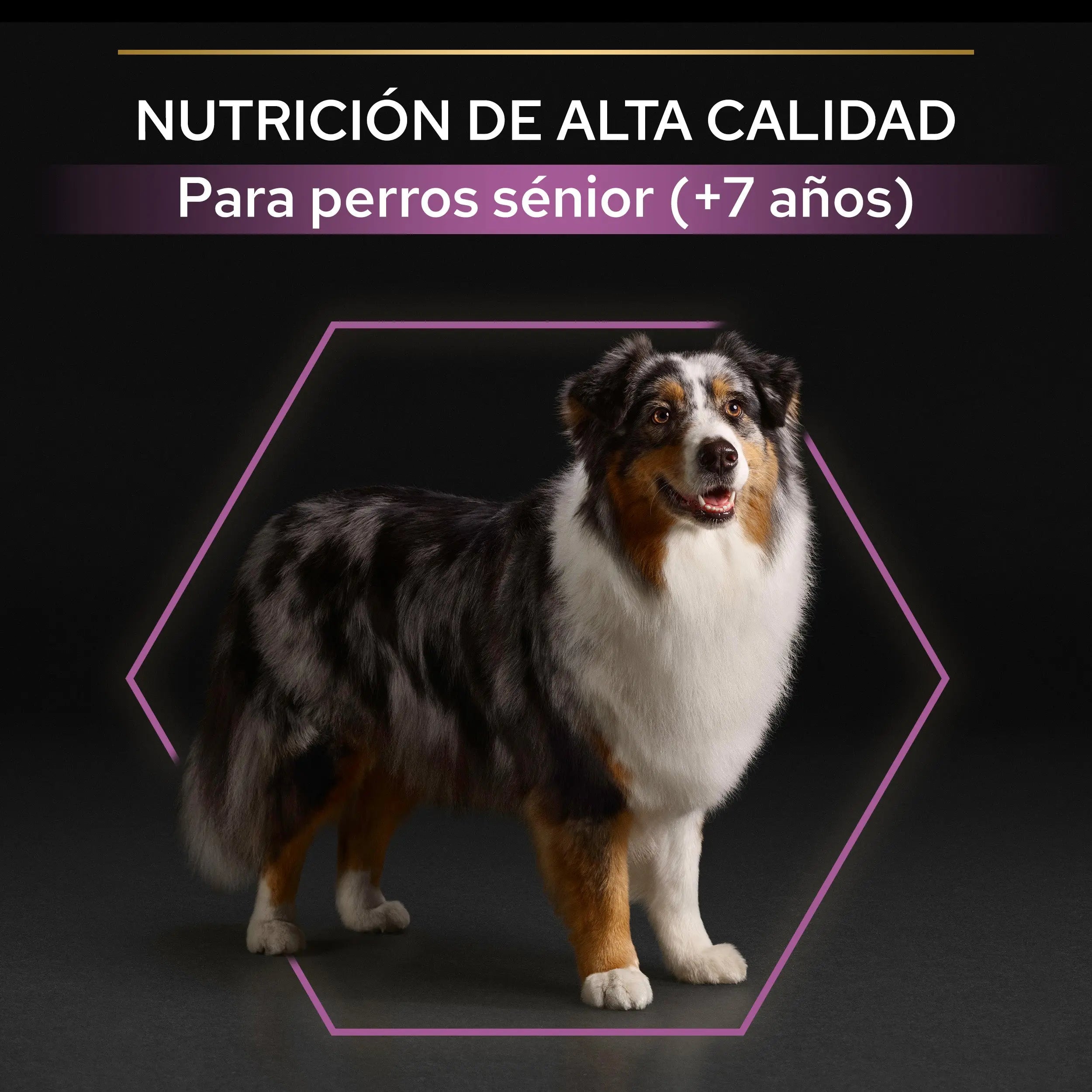 Pro Plan Dog Medium & Large Adult Agedefen 7+ Pollo 3 kg al mejor precio -Todoanimal.es