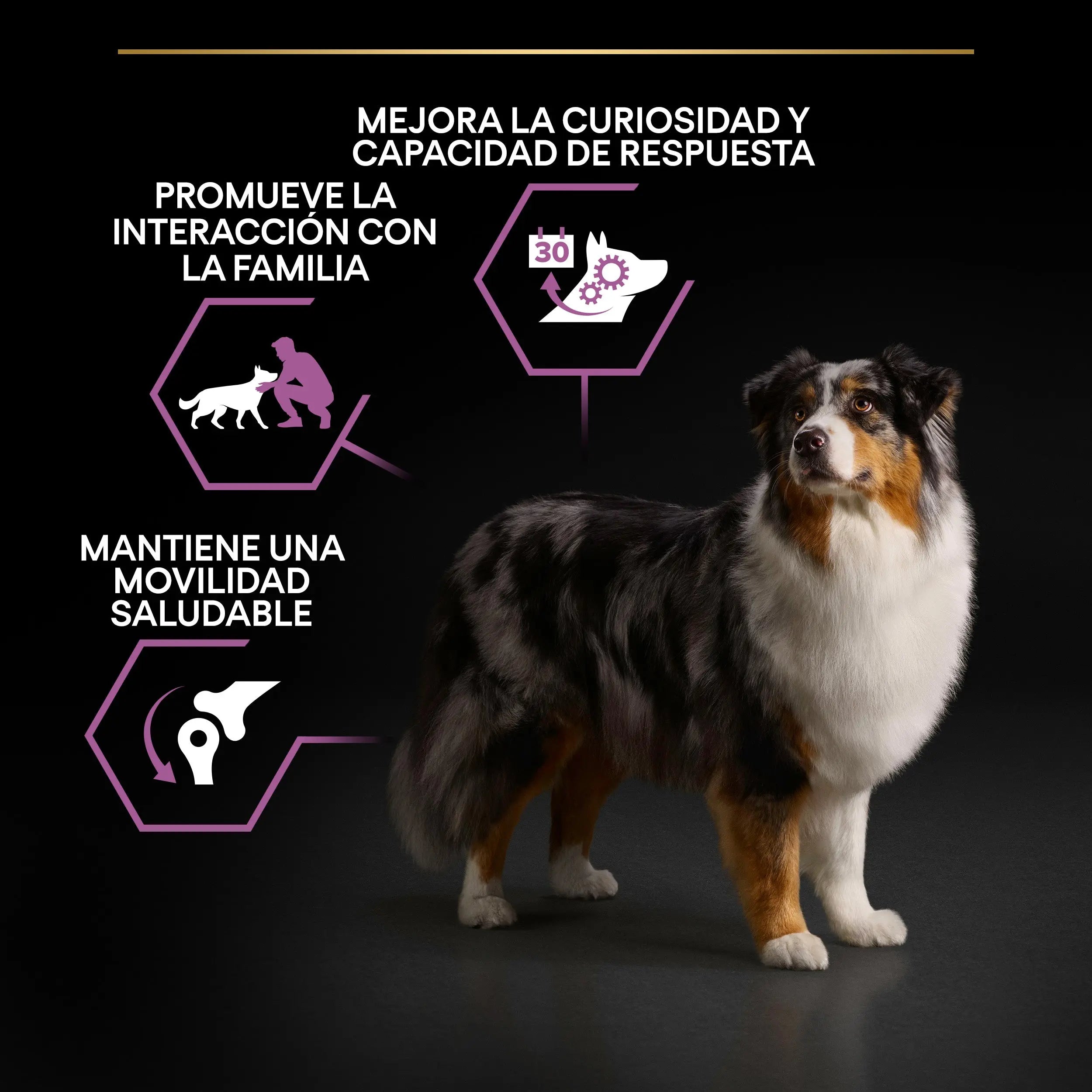 Pro Plan Dog Medium & Large Adult Agedefen 7+ Pollo 3 kg al mejor precio -Todoanimal.es