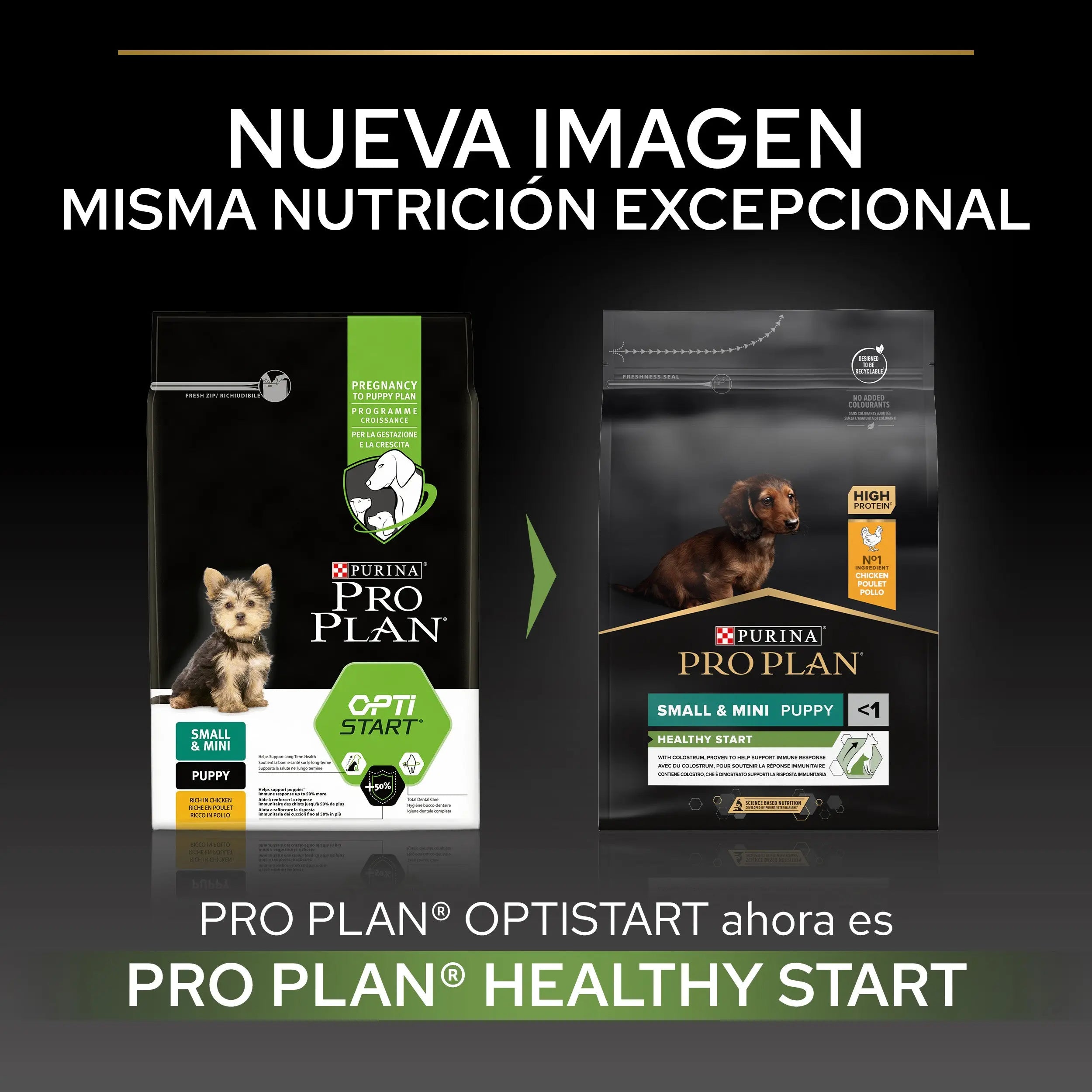 Pro Plan Dog Puppy Small & Mini Healthy Start Pollo Pienso para Cachorros al mejor precio -Todoanimal.es