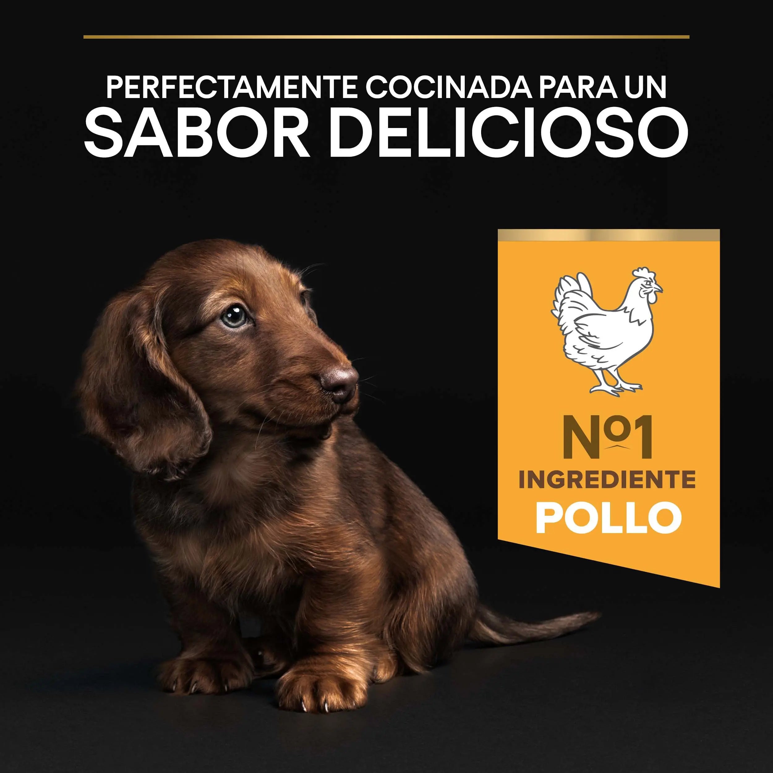 Pro Plan Dog Puppy Small & Mini Healthy Start Pollo Pienso para Cachorros al mejor precio -Todoanimal.es