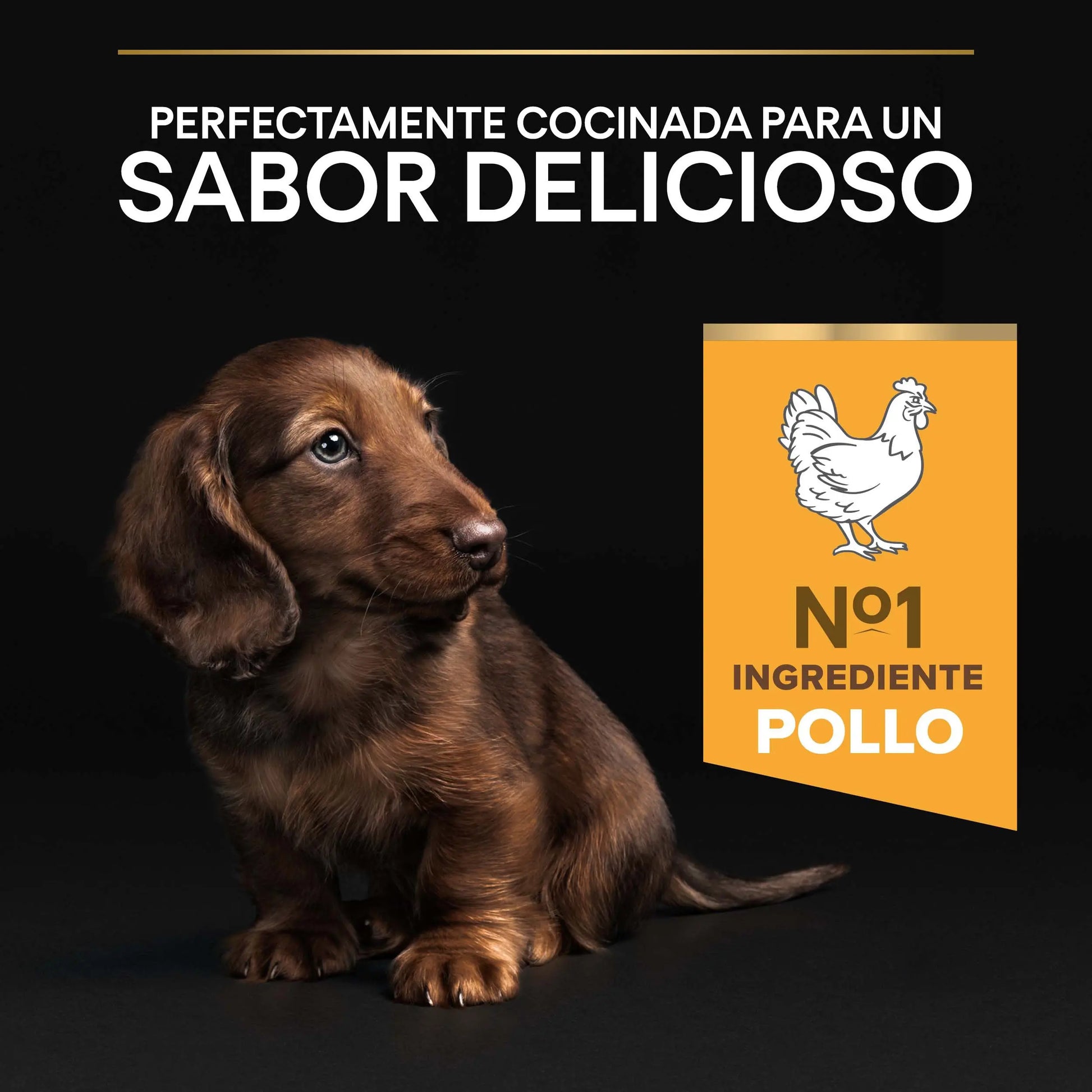 Pro Plan Dog Puppy Small & Mini Healthy Start Pollo Pienso para Cachorros al mejor precio -Todoanimal.es