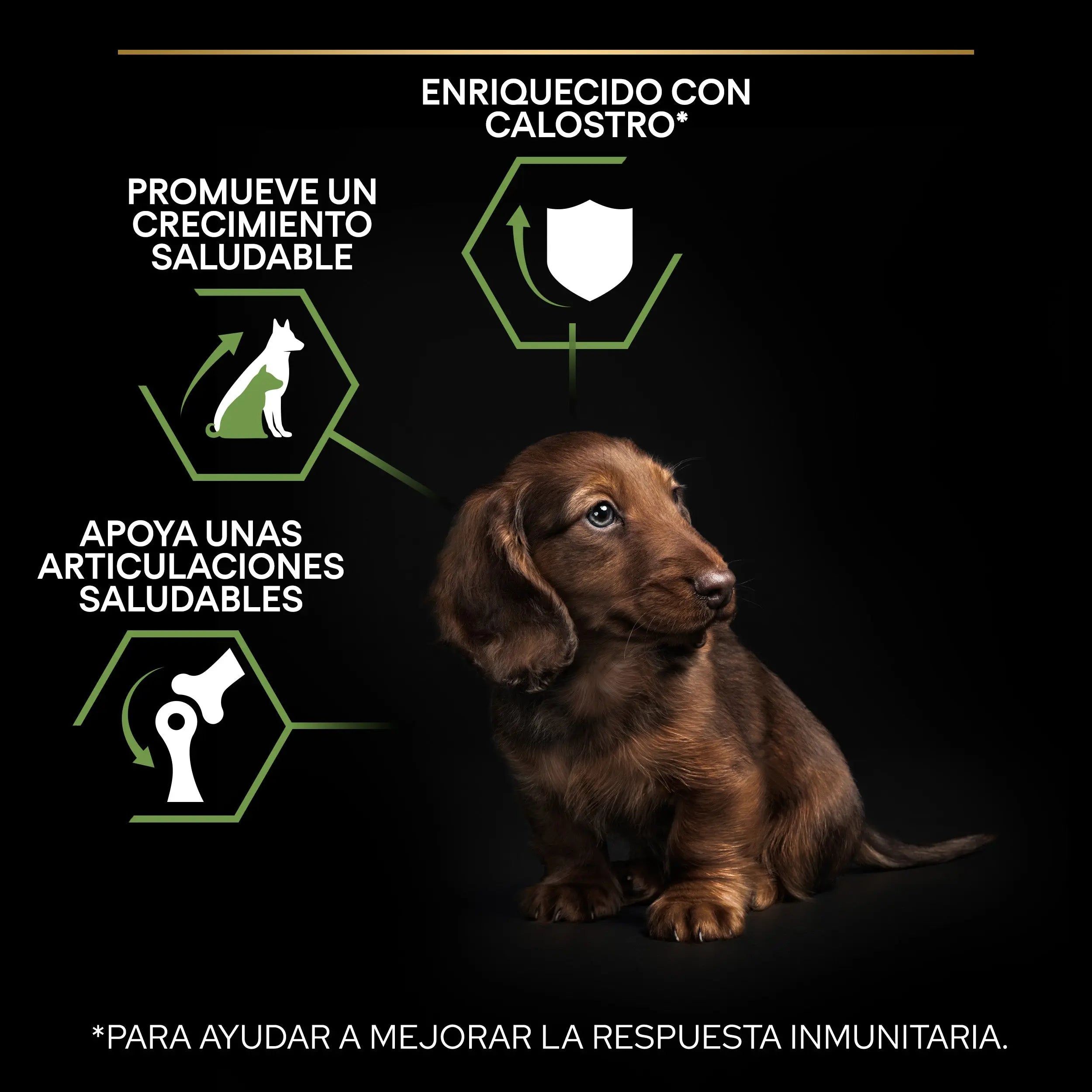 Pro Plan Dog Puppy Small & Mini Healthy Start Pollo Pienso para Cachorros al mejor precio -Todoanimal.es