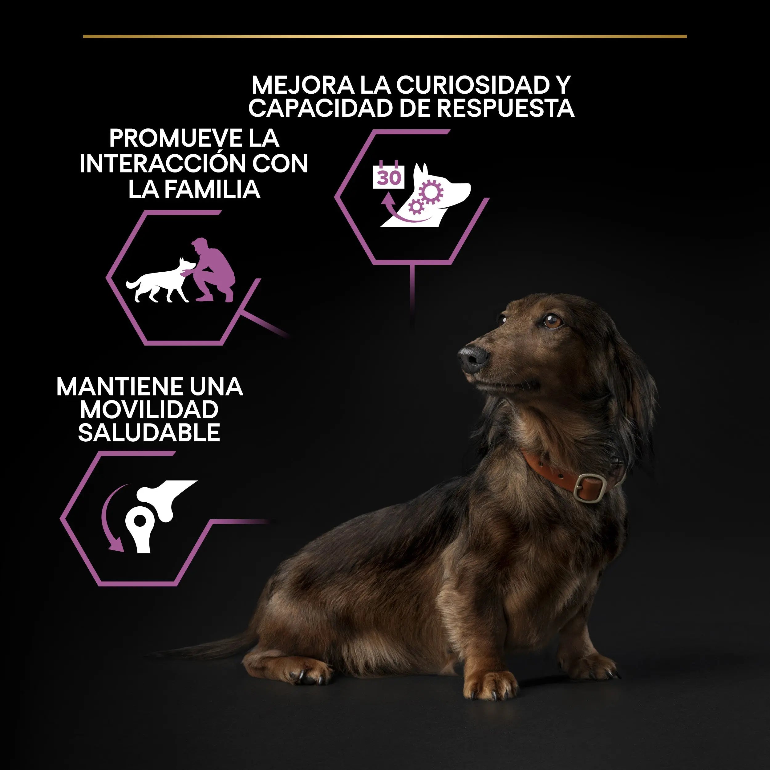 Pro Plan Dog Small & Mini Adult Agedefen 9+ Pollo 3 kg al mejor precio -Todoanimal.es