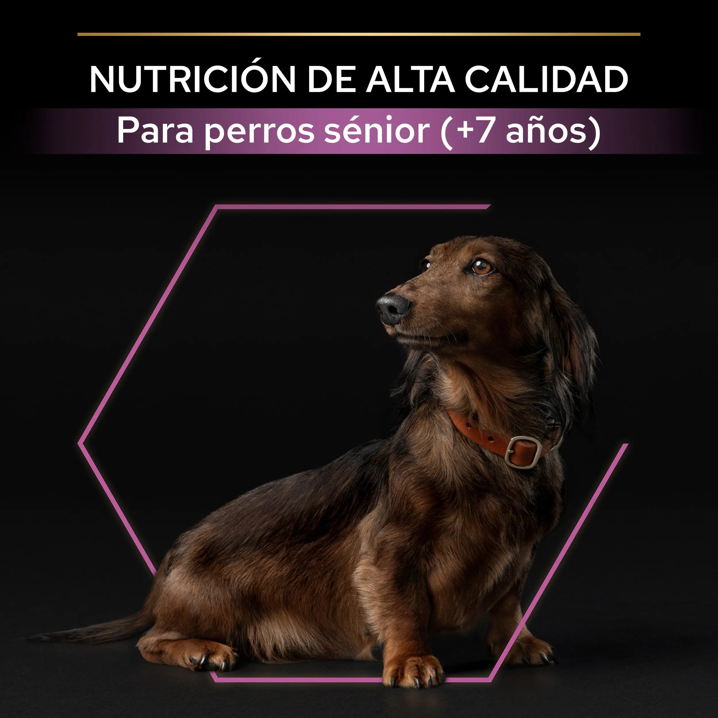 Pro Plan Dog Small & Mini Adult Agedefen 9+ Pollo 3 kg al mejor precio -Todoanimal.es