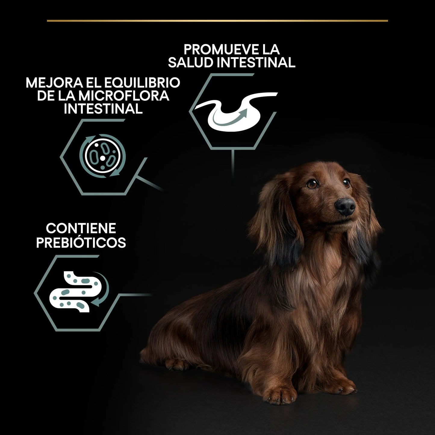 Pro Plan Dog Small & Mini Adult Digest Cordero Pienso para Perros al mejor precio -Todoanimal.es