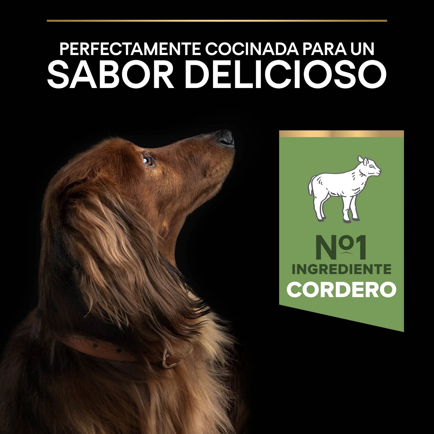Pro Plan Dog Small & Mini Adult Digest Cordero Pienso para Perros al mejor precio -Todoanimal.es