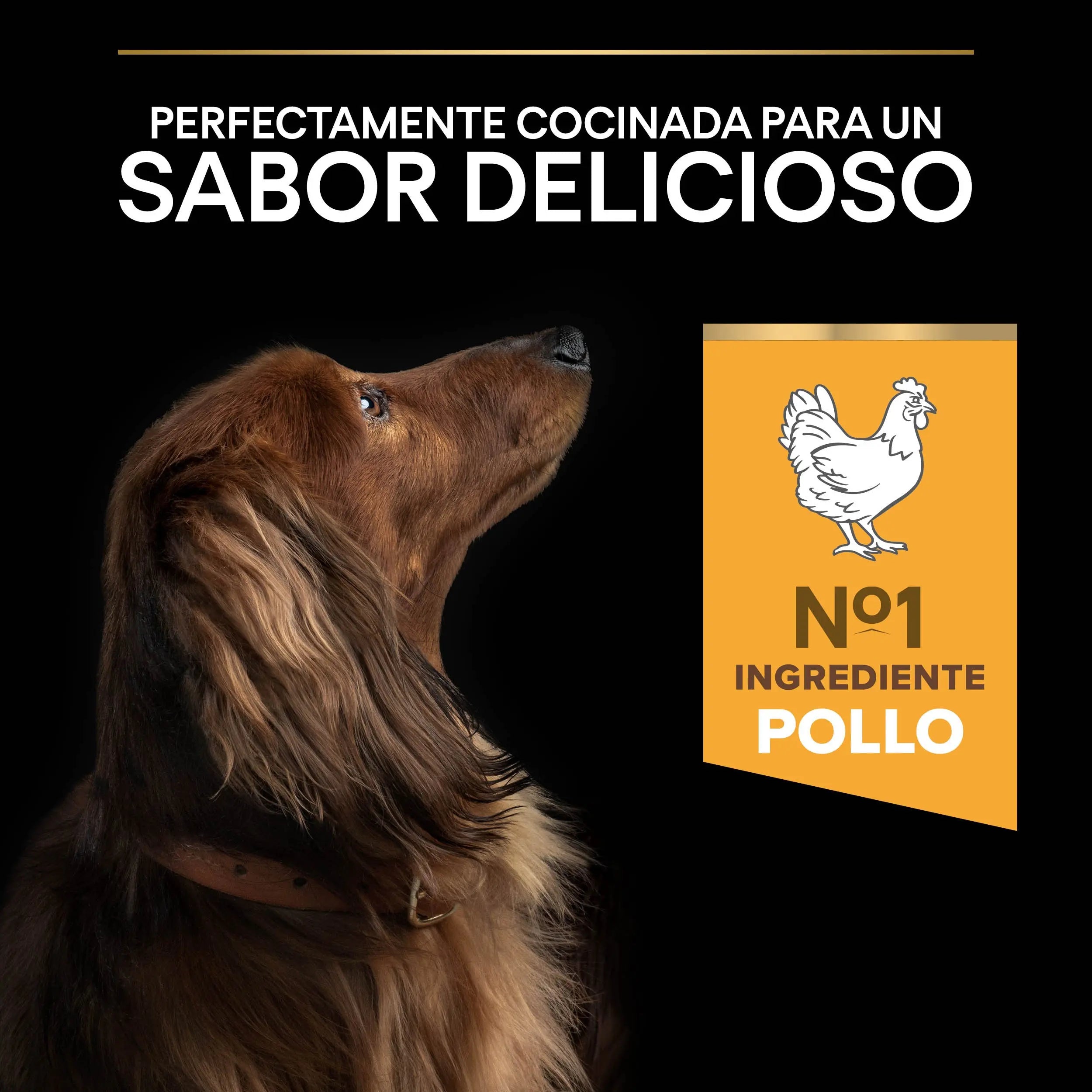 Pro Plan Dog Small & Mini Adult Pollo Pienso para Perros al mejor precio -Todoanimal.es