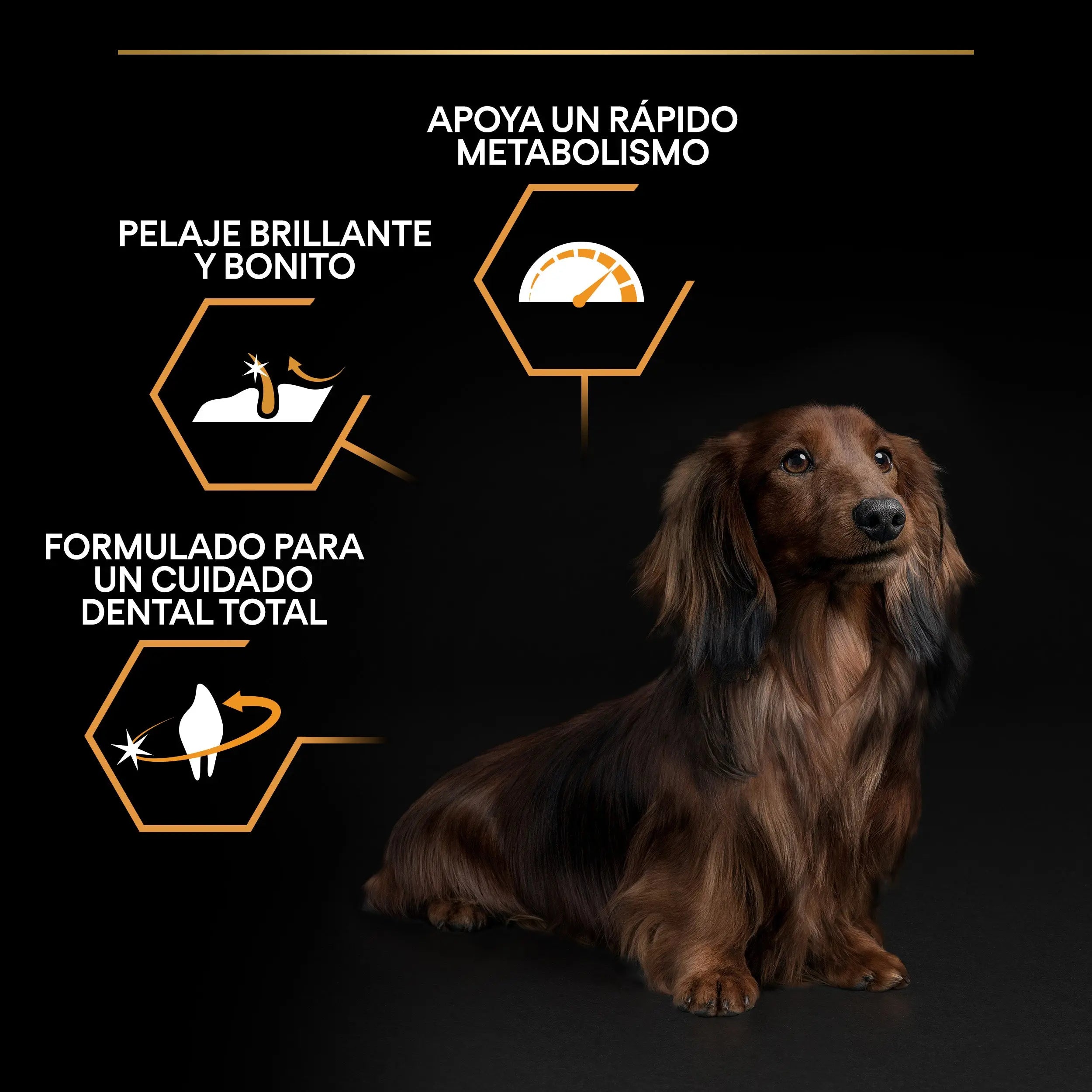 Pro Plan Dog Small & Mini Adult Pollo Pienso para Perros al mejor precio -Todoanimal.es