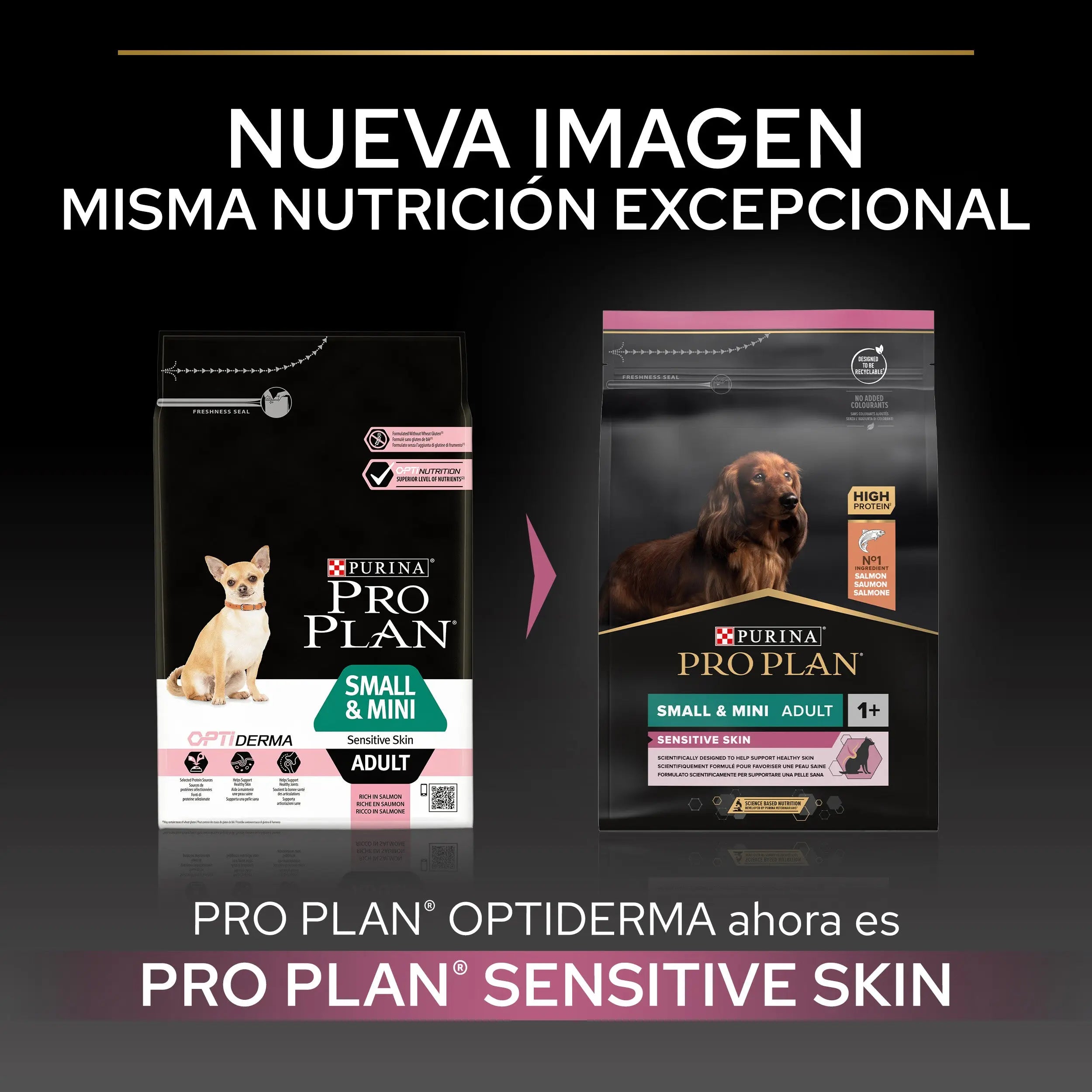 Pro Plan Dog Small & Mini Adult Sensitive Skin Salmón Pienso para Perros al mejor precio -Todoanimal.es