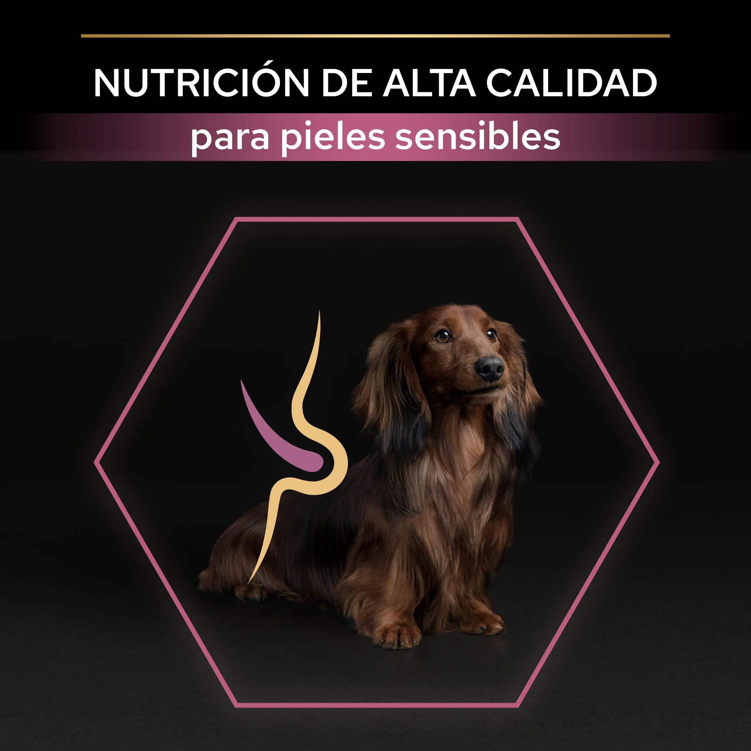 Pro Plan Dog Small & Mini Adult Sensitive Skin Salmón Pienso para Perros al mejor precio -Todoanimal.es