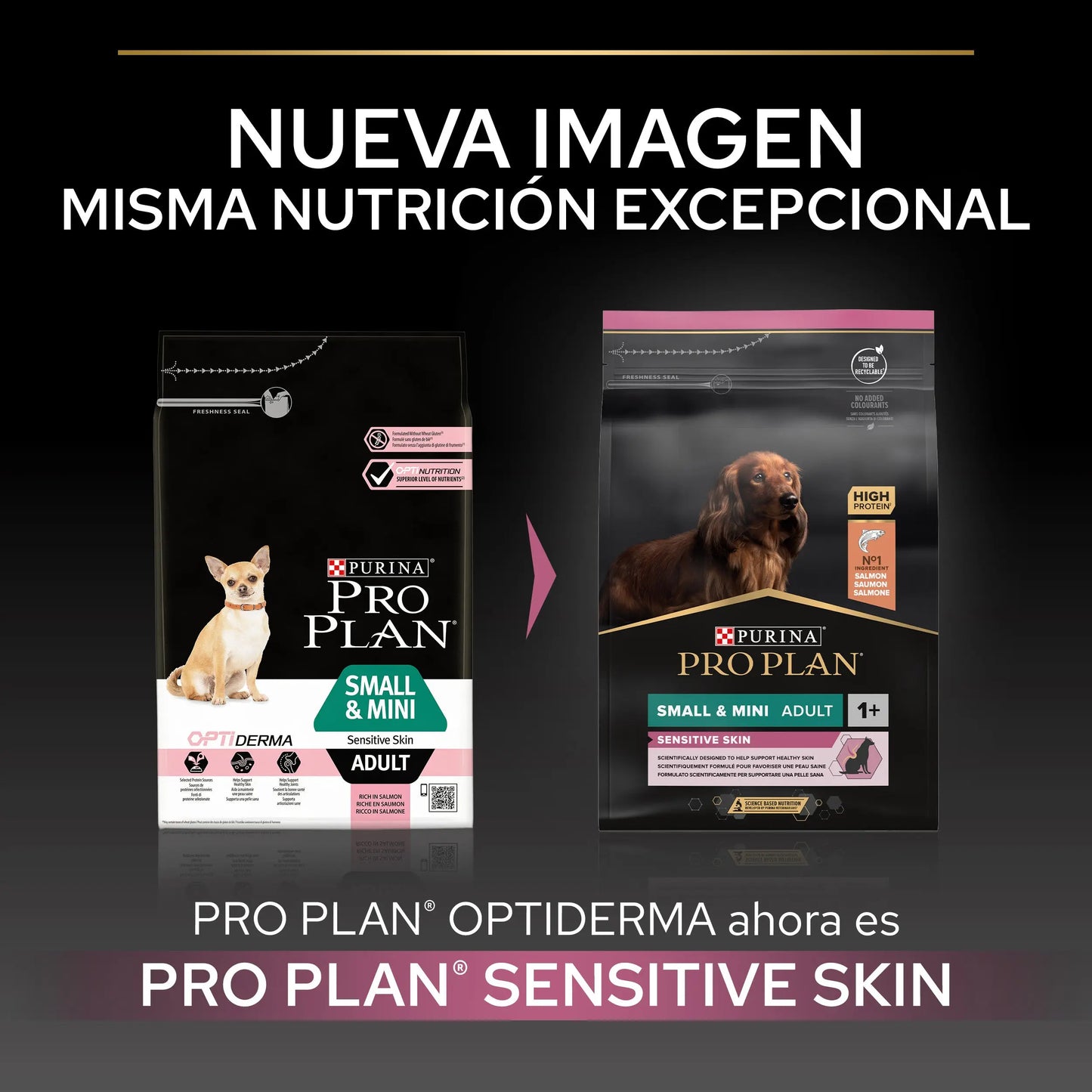 Pro Plan Dog Small & Mini Adult Skin Salmón Pienso para Perros al mejor precio -Todoanimal.es