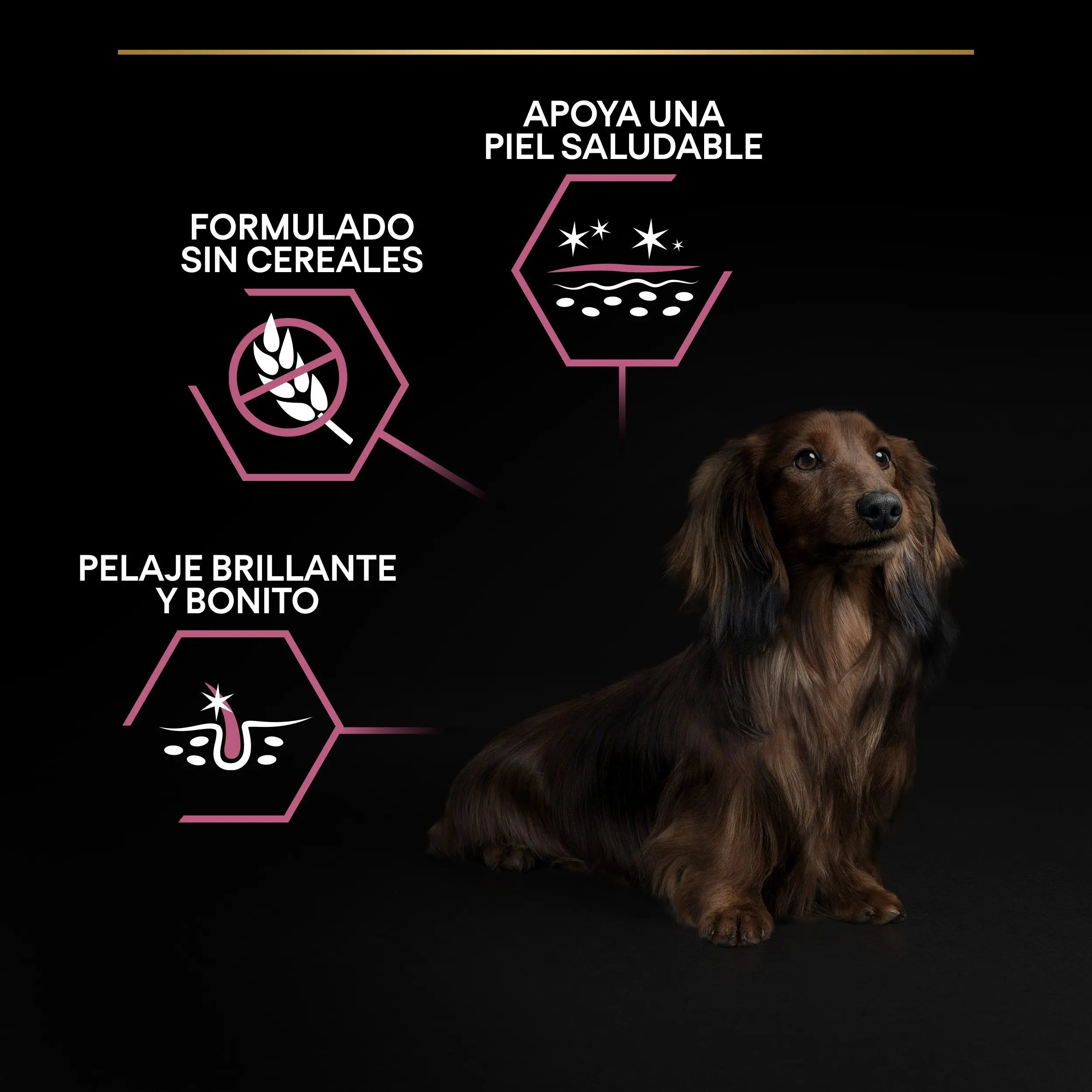 Pro Plan Dog Small & Mini Adult Skin Salmón Pienso para Perros al mejor precio -Todoanimal.es