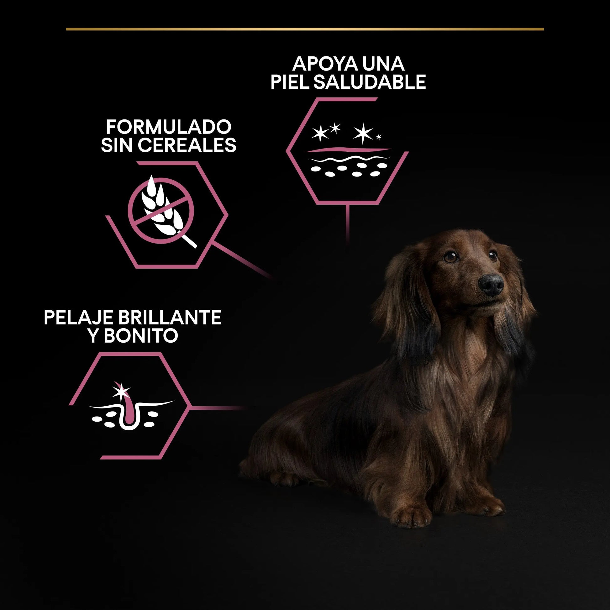 Pro Plan Dog Small & Mini Adult Skin Salmón Pienso para Perros al mejor precio -Todoanimal.es