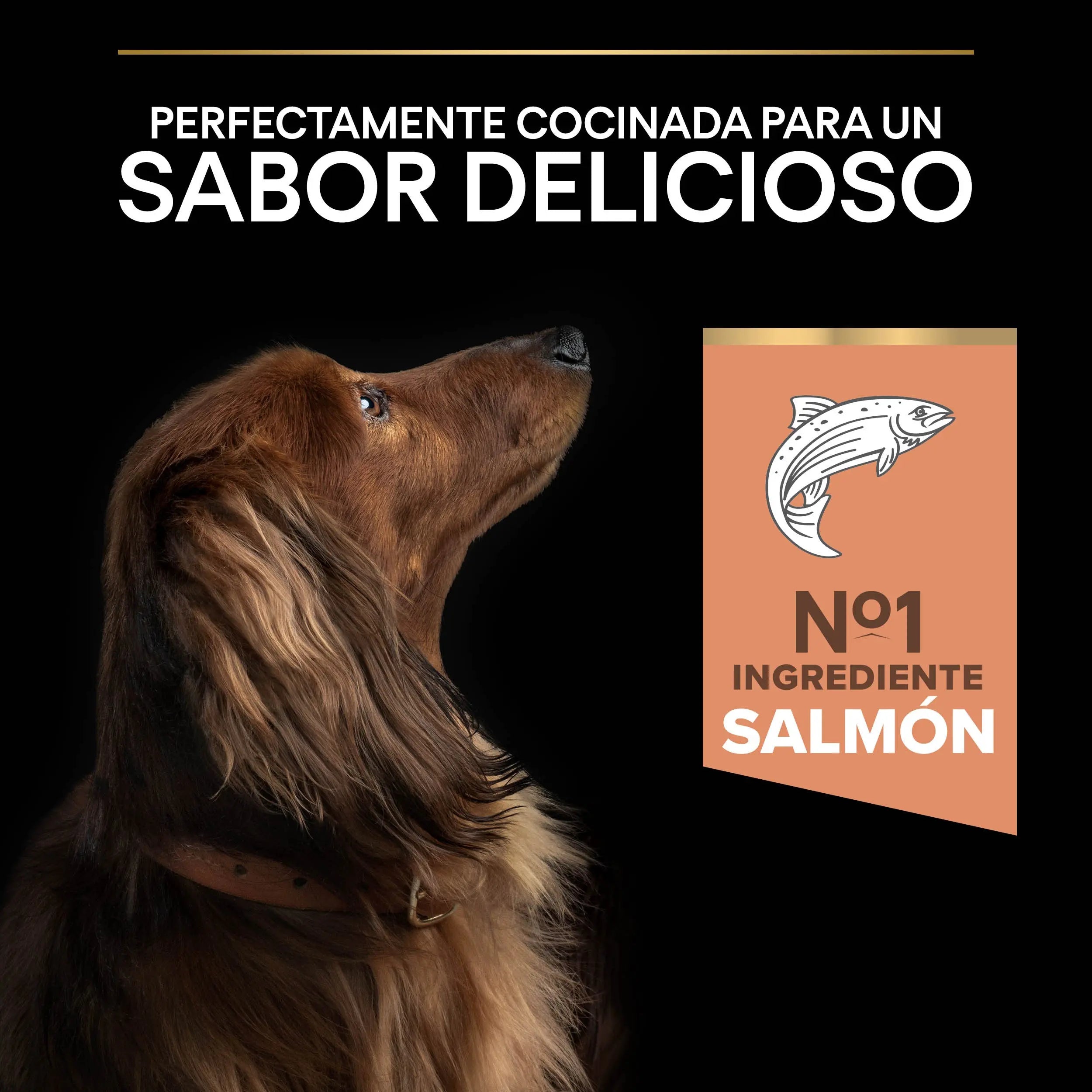Pro Plan Dog Small & Mini Adult Skin Salmón Pienso para Perros al mejor precio -Todoanimal.es