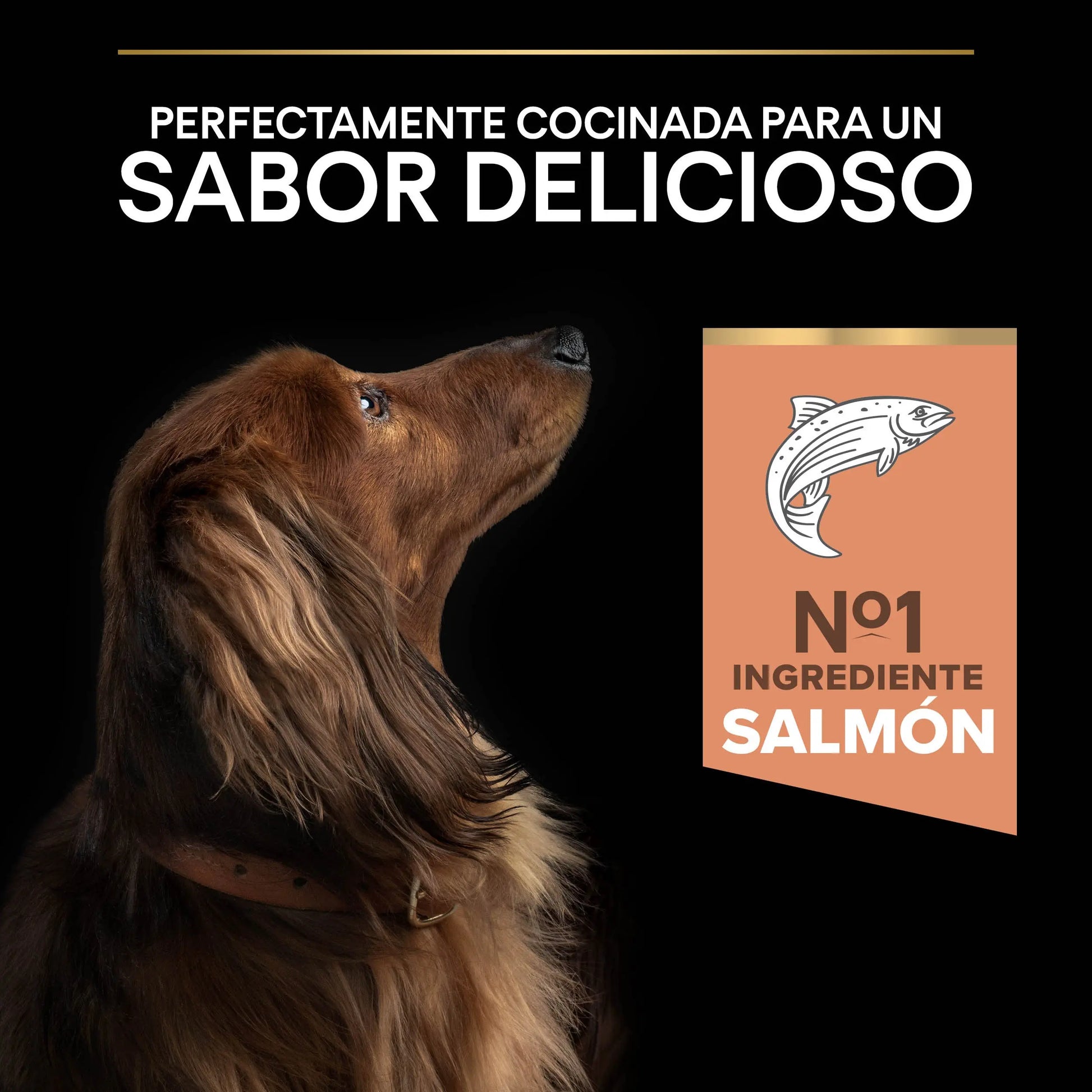 Pro Plan Dog Small & Mini Adult Skin Salmón Pienso para Perros al mejor precio -Todoanimal.es