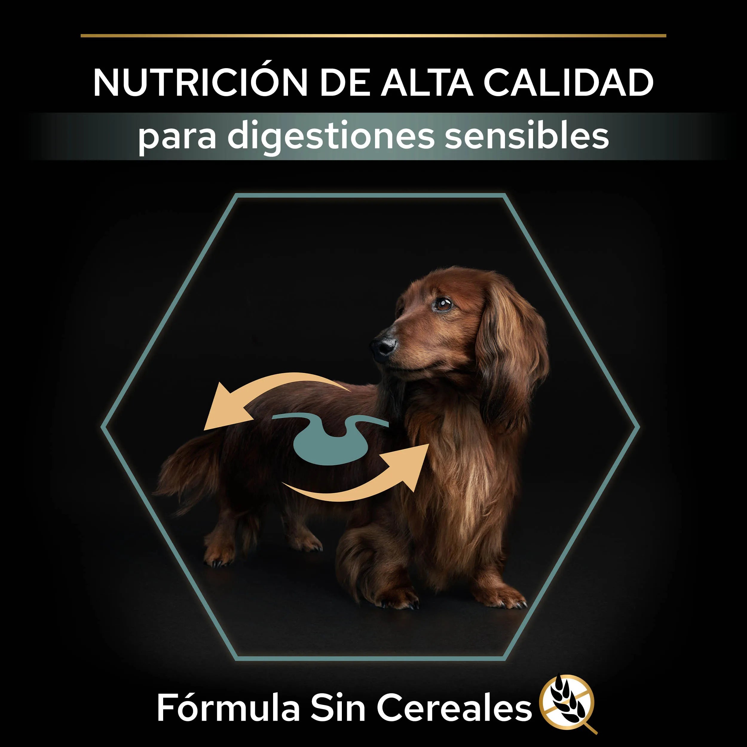 Pro Plan Small & Mini Adult Digest Grain Free Pavo Pienso para Perros al mejor precio -Todoanimal.es