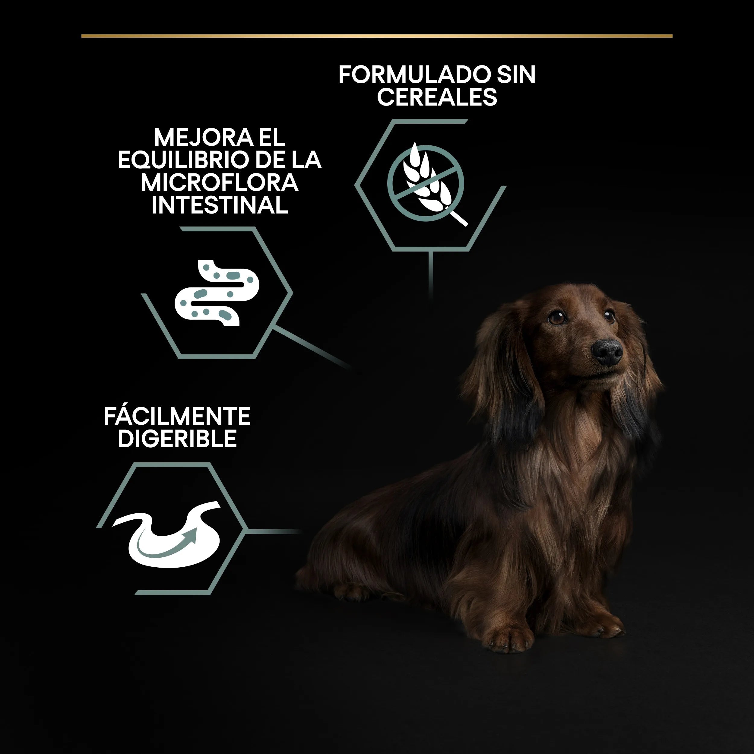 Pro Plan Small & Mini Adult Digest Grain Free Pavo Pienso para Perros al mejor precio -Todoanimal.es