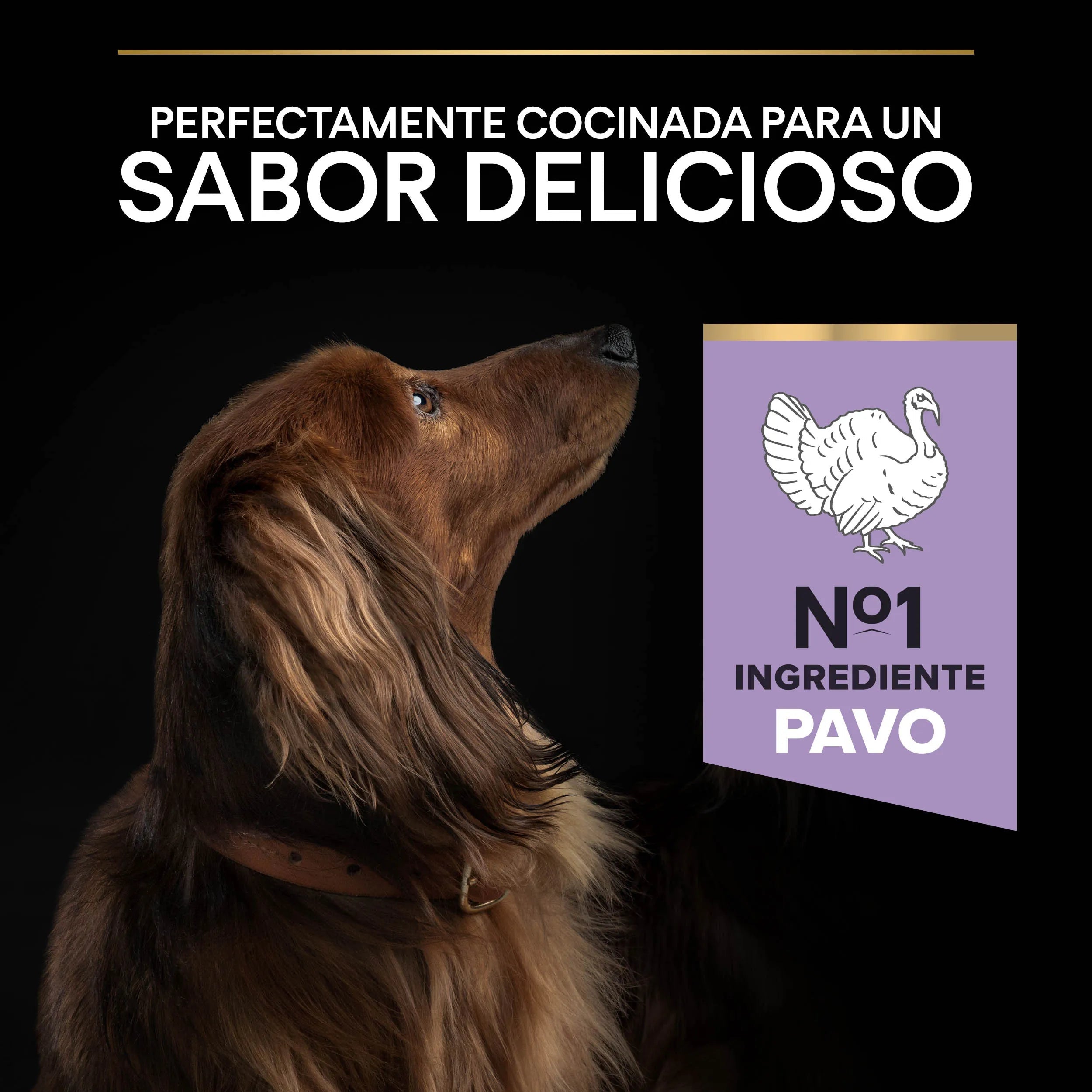 Pro Plan Small & Mini Adult Digest Grain Free Pavo Pienso para Perros al mejor precio -Todoanimal.es