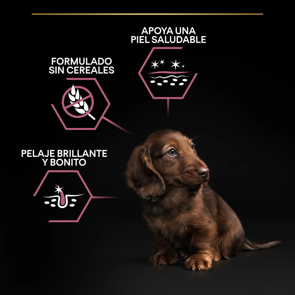 Pro Plan Small&Mini Puppy Sensitive Skin Salmón Pienso para Cachorros al mejor precio -Todoanimal.es