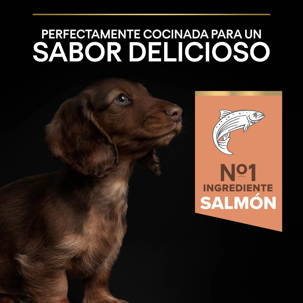 Pro Plan Small&Mini Puppy Sensitive Skin Salmón Pienso para Cachorros al mejor precio -Todoanimal.es