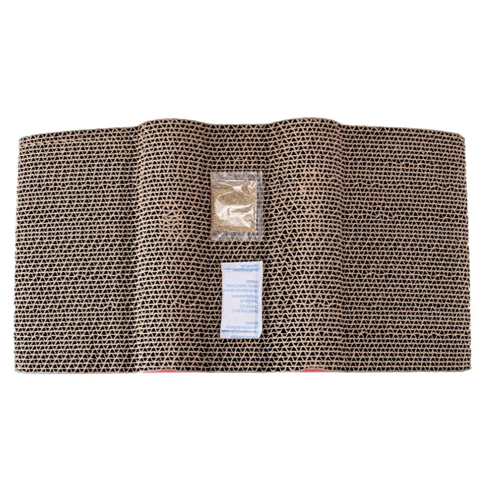 Rascador de Cartón Frog Azul Cielo con Catnip 45x24x9cm FREEDOG