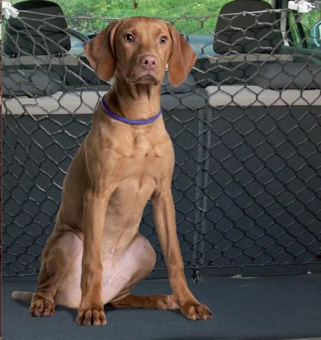 Red Para Coche 110-120X80-90Cm - Precios Más Baratos - Todoanimal