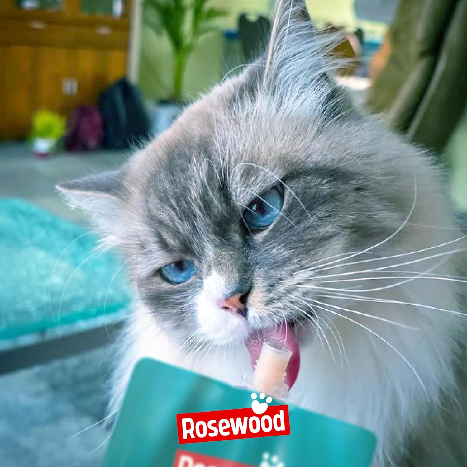 Rosewood Snack Deli Delight de Salmón para Gatos al mejor precio -Todoanimal.es