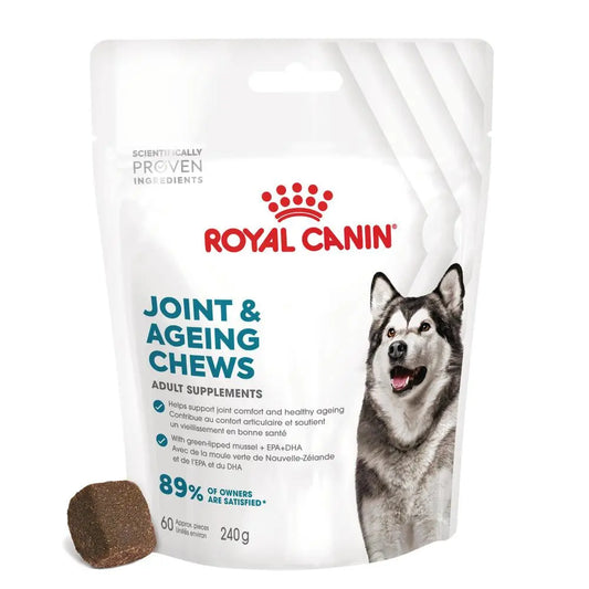 Royal Canin Adult Joint & Ageing 240 g Suplemento para Perros Adultos al mejor precio -Todoanimal.es
