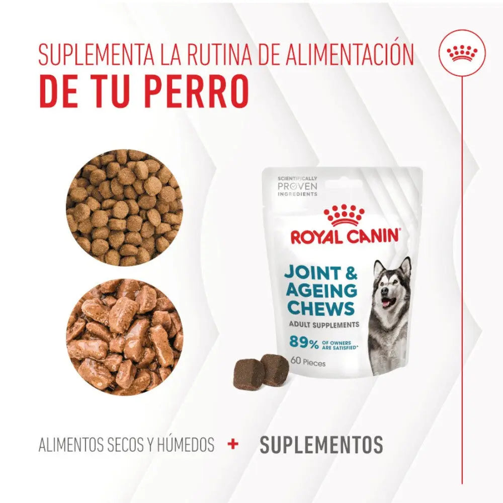 Royal Canin Adult Joint & Ageing 240 g Suplemento para Perros Adultos al mejor precio -Todoanimal.es