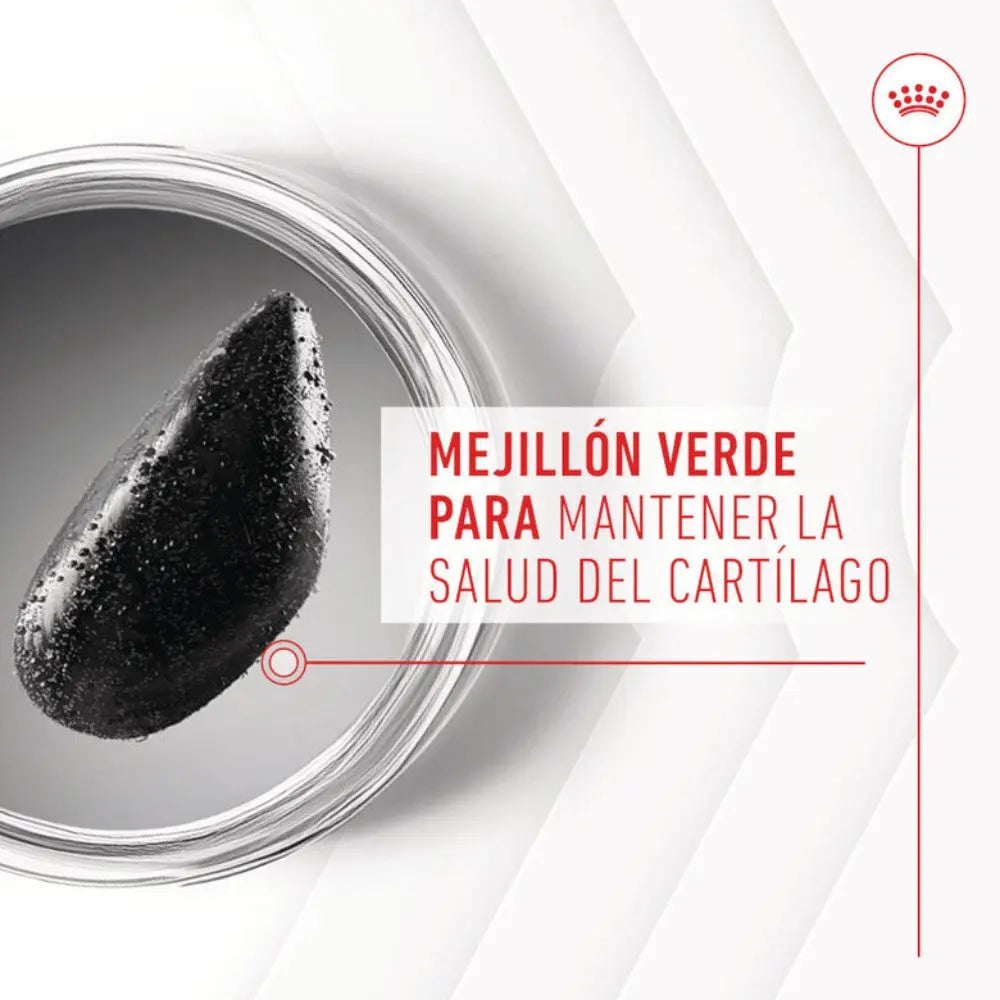 Royal Canin Adult Joint & Ageing 240 g Suplemento para Perros Adultos al mejor precio -Todoanimal.es