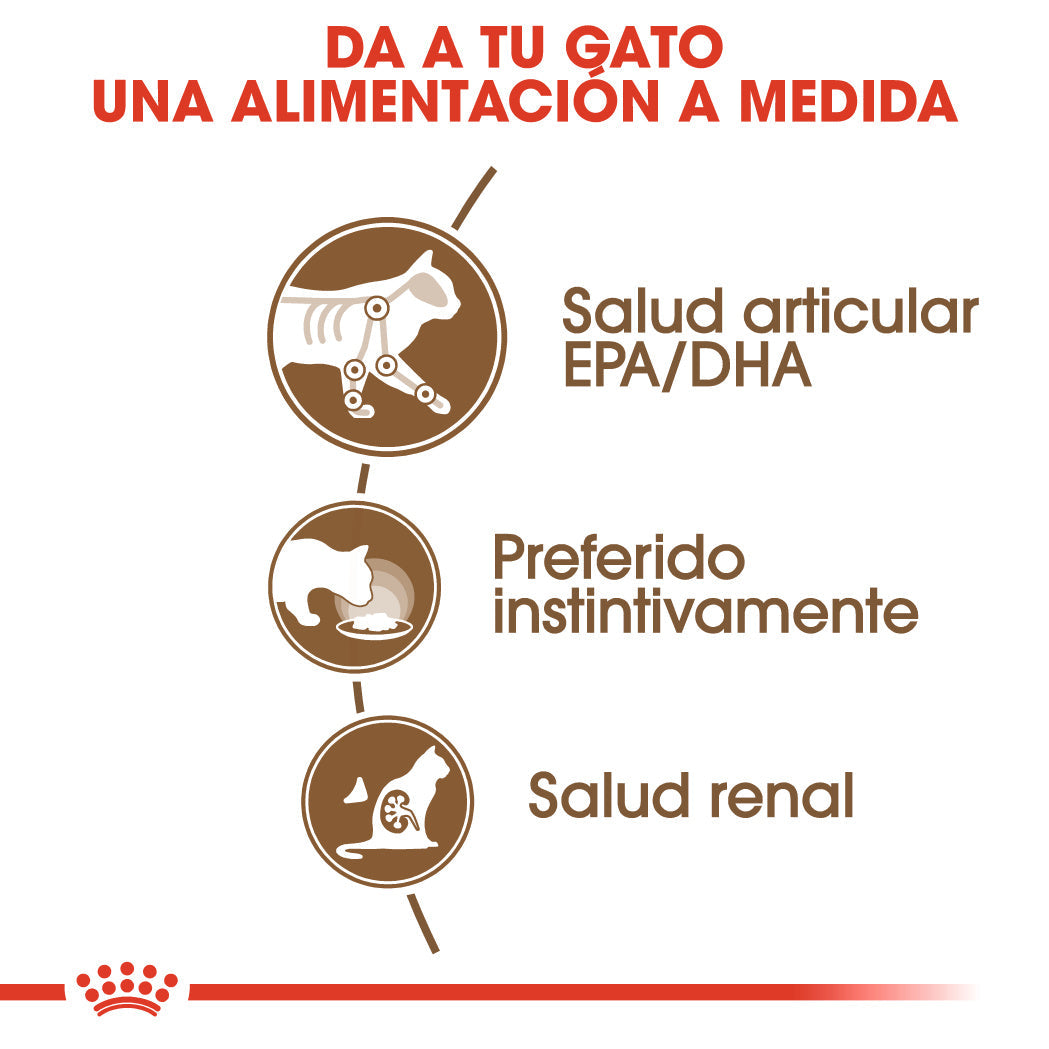 Royal Canin Ageing 12+ Gelatina 85 g Alimento Húmedo para Gatos al mejor precio -Todoanimal.es
