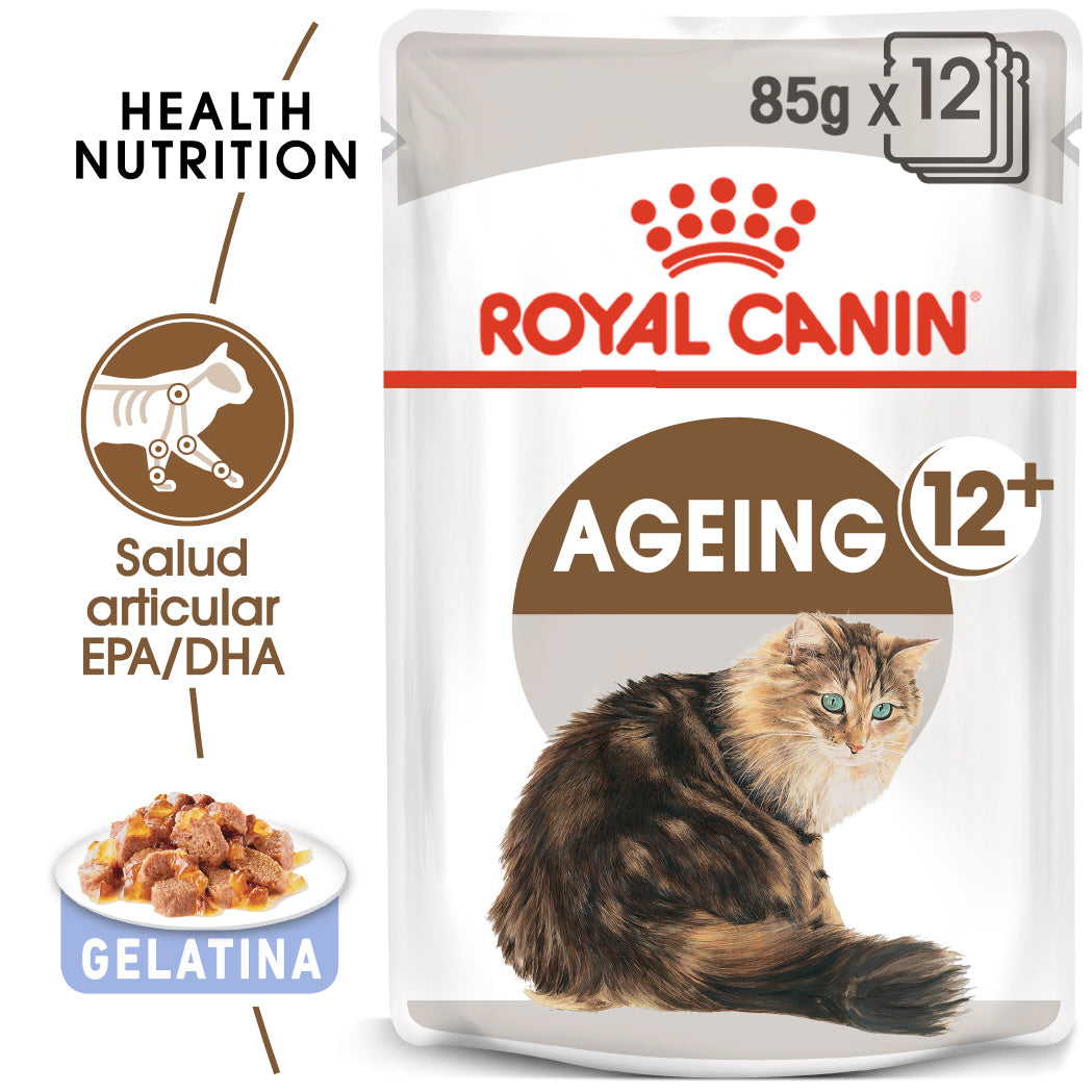 Royal Canin Ageing 12+ Gelatina 85 g Alimento Húmedo para Gatos al mejor precio -Todoanimal.es