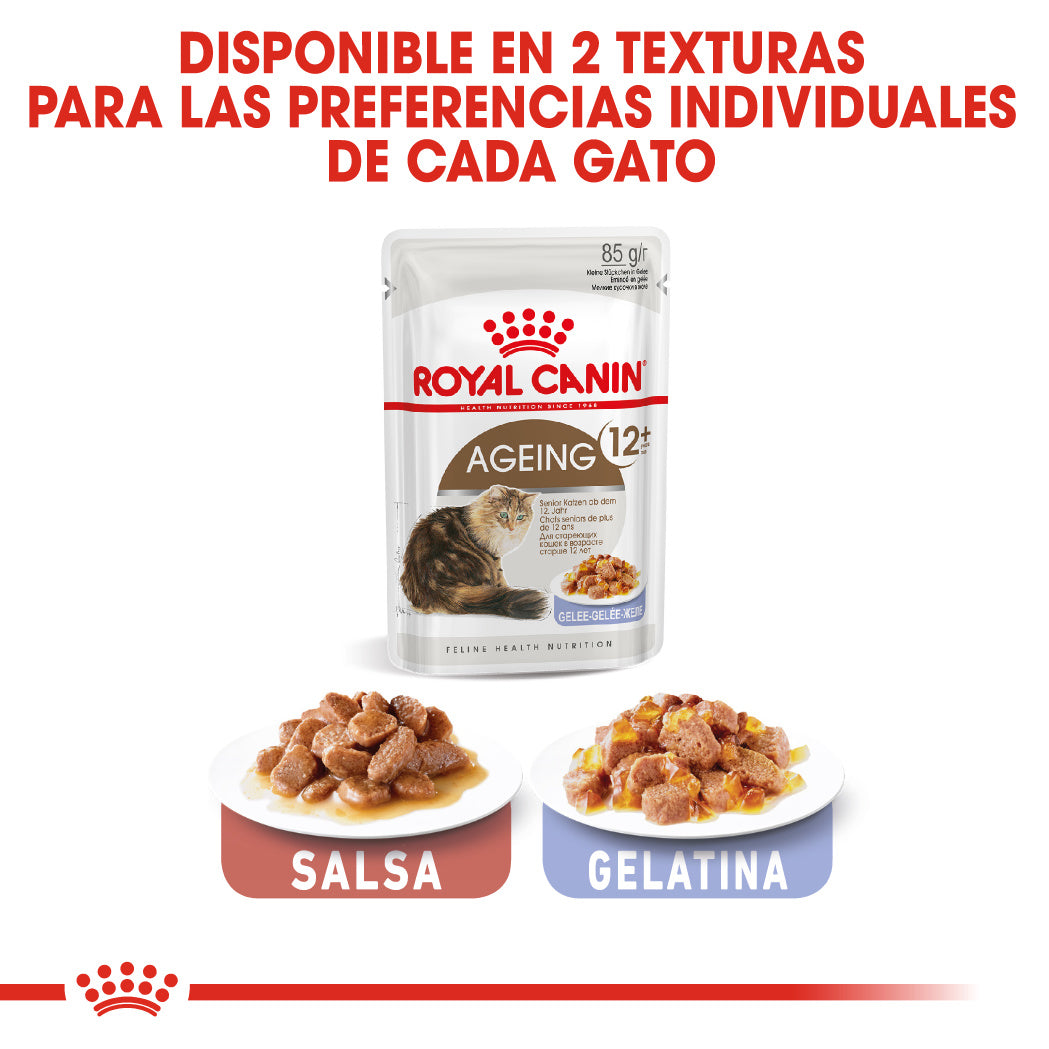 Royal Canin Ageing 12+ Gelatina 85 g Alimento Húmedo para Gatos al mejor precio -Todoanimal.es