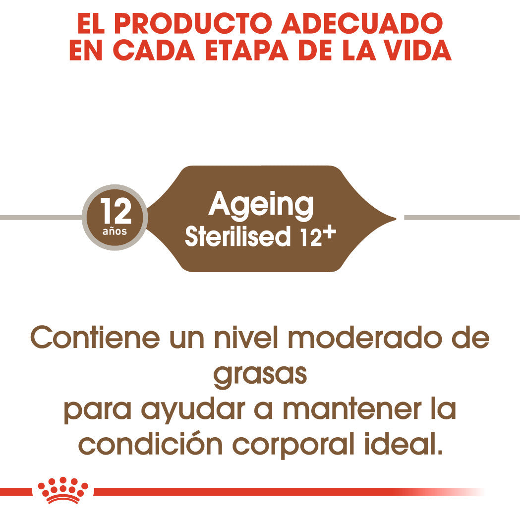 Royal Canin Ageing 12+ Sterilized Pienso para Gatos al mejor precio -Todoanimal.es