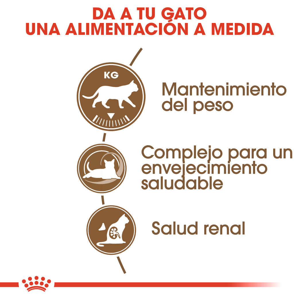 Royal Canin Ageing 12+ Sterilized Pienso para Gatos al mejor precio -Todoanimal.es