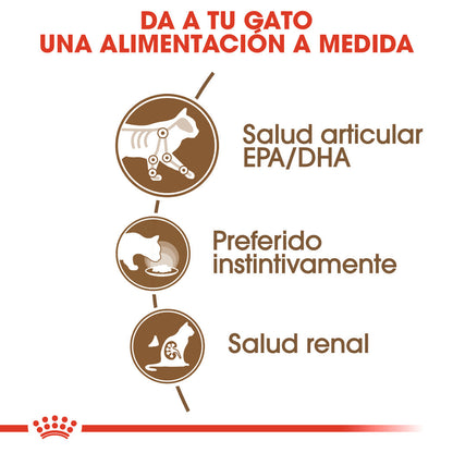 Royal Canin Ageing 12+ en Salsa 85 g Alimento Húmedo para Gatos al mejor precio -Todoanimal.es