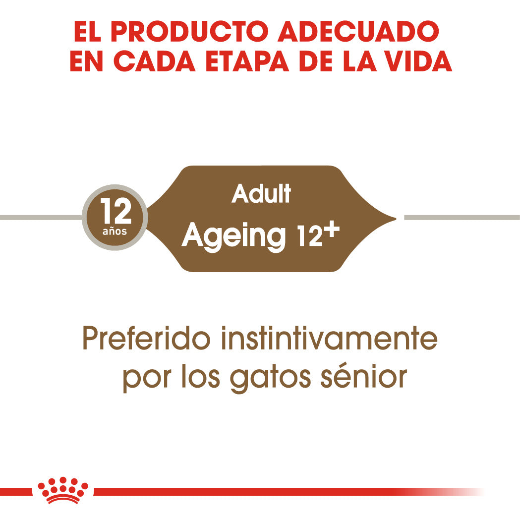 Royal Canin Ageing 12+ en Salsa 85 g Alimento Húmedo para Gatos al mejor precio -Todoanimal.es