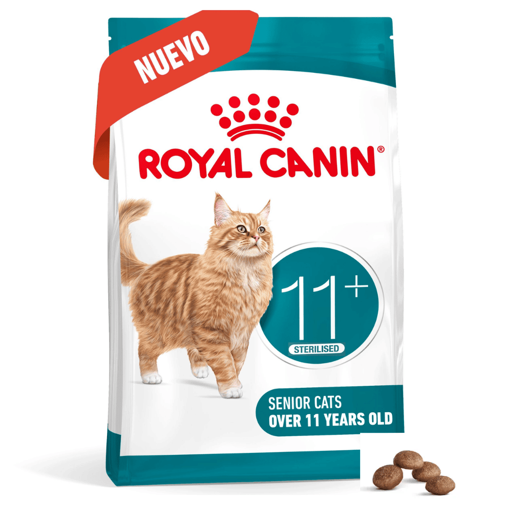 Royal Canin Ageing Sterilised 11+ Pienso para Gatos Senior Esterilizados al mejor precio -Todoanimal.es