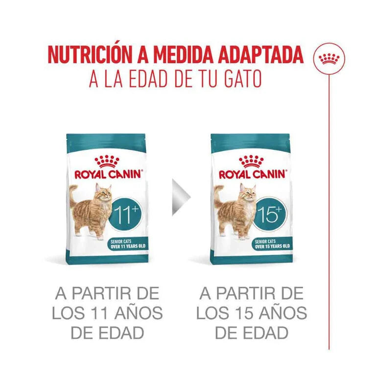 Royal Canin Ageing Sterilised 11+ Pienso para Gatos Senior Esterilizados al mejor precio -Todoanimal.es