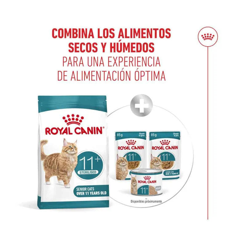 Royal Canin Ageing Sterilised 11+ Pienso para Gatos Senior Esterilizados al mejor precio -Todoanimal.es