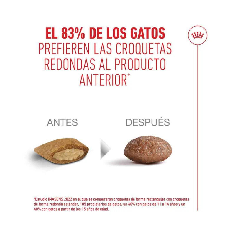 Royal Canin Ageing Sterilised 11+ Pienso para Gatos Senior Esterilizados al mejor precio -Todoanimal.es